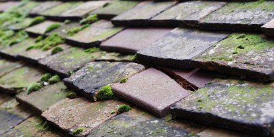 Insch roof repair costs